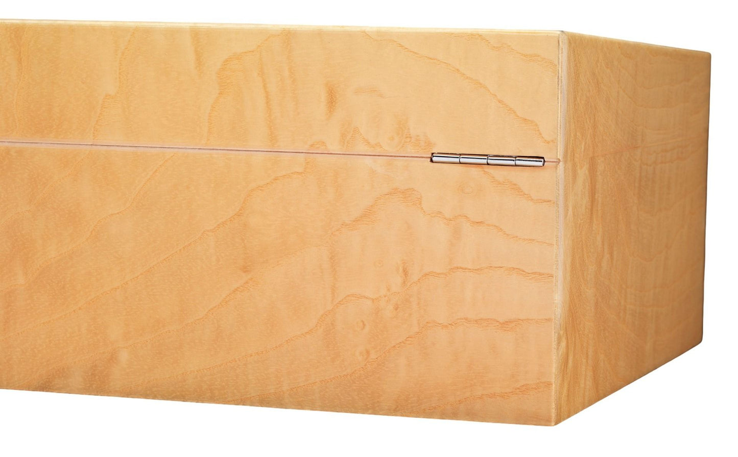 Siglo - Koi Fish Humidor - achterkant