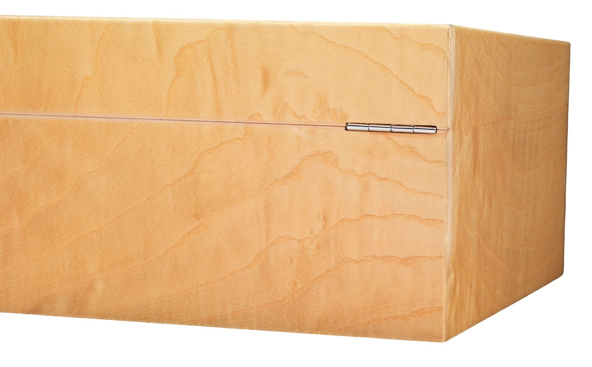 Siglo - Koi Fish Humidor - achterkant
