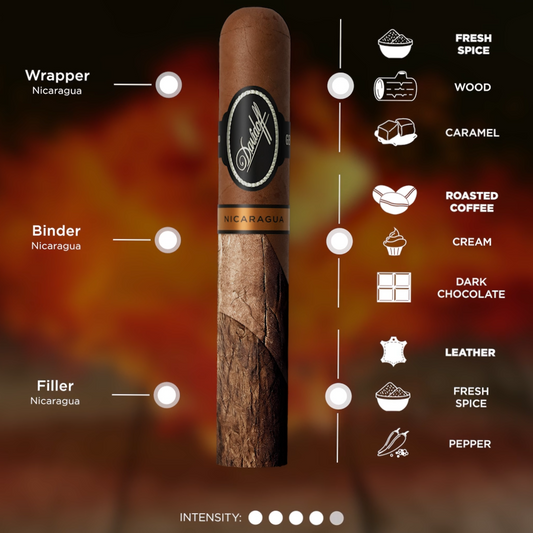 Davidoff Nicaragua Robusto